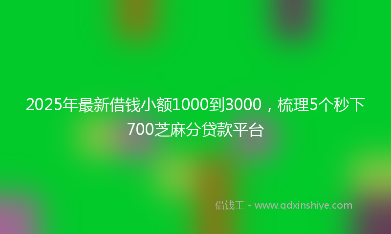 2025年最新借钱小额1000到3000，梳理5个秒下700芝麻分贷款平台