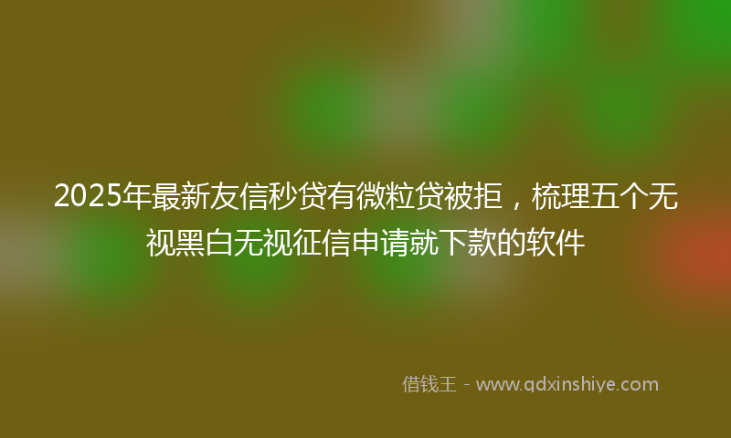 2025年最新友信秒贷有微粒贷被拒，梳理五个无视黑白无视征信申请就下款的软件