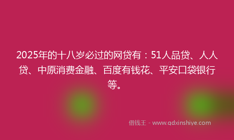 2025年的十八岁必过的网贷有：51人品贷、人人贷、中原消费金融、百度有钱花、平安口袋银行等。