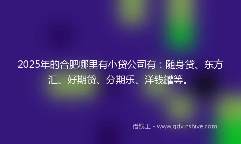 2025年的合肥哪里有小贷公司有：随身贷、东方汇、好期贷、分期乐、洋钱罐等。