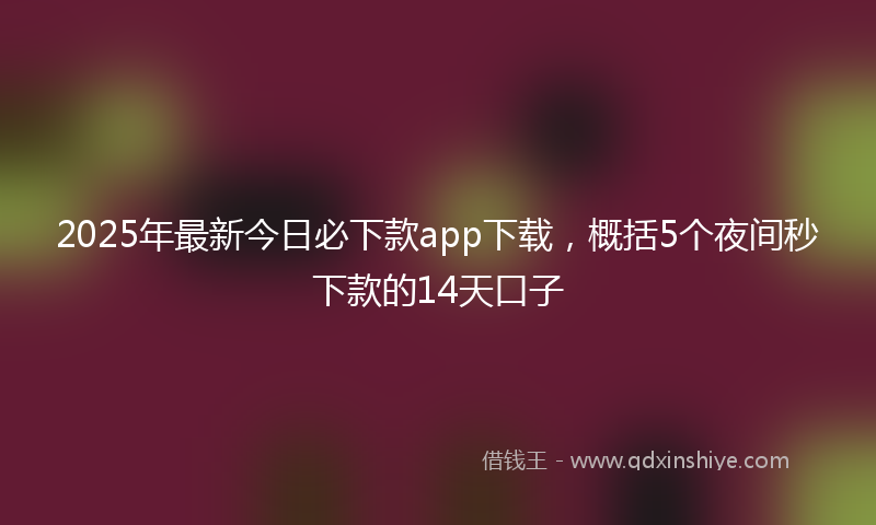 2025年最新今日必下款app下载，概括5个夜间秒下款的14天口子