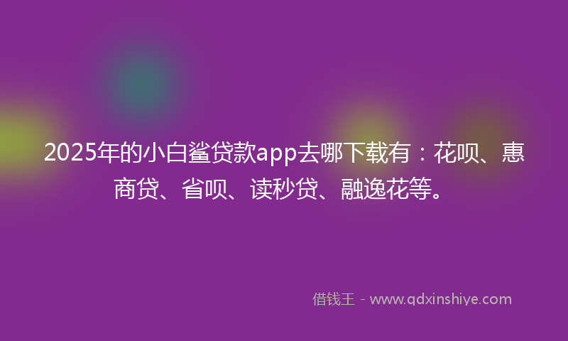 2025年的小白鲨贷款app去哪下载有：花呗、惠商贷、省呗、读秒贷、融逸花等。