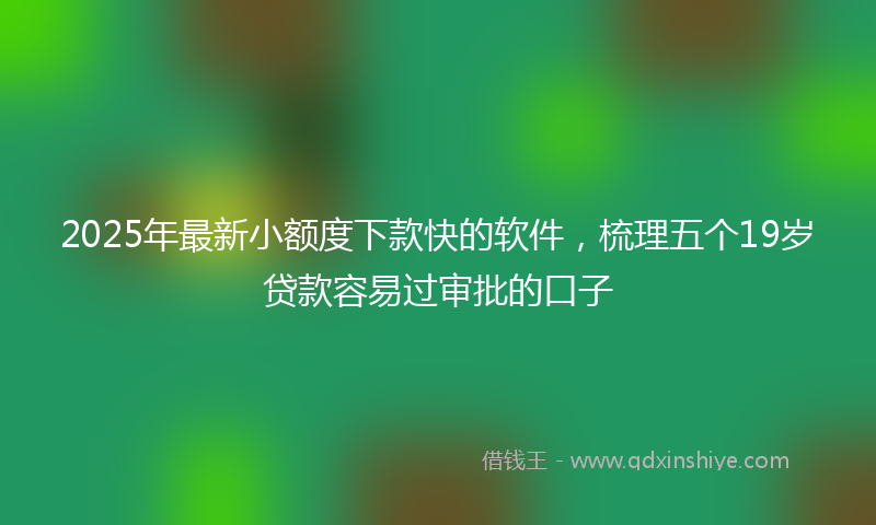 2025年最新小额度下款快的软件，梳理五个19岁贷款容易过审批的口子