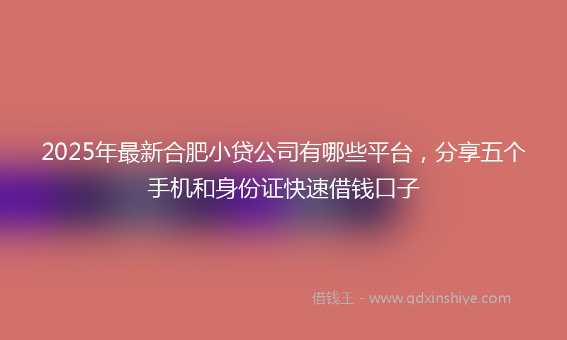 2025年最新合肥小贷公司有哪些平台，分享五个手机和身份证快速借钱口子