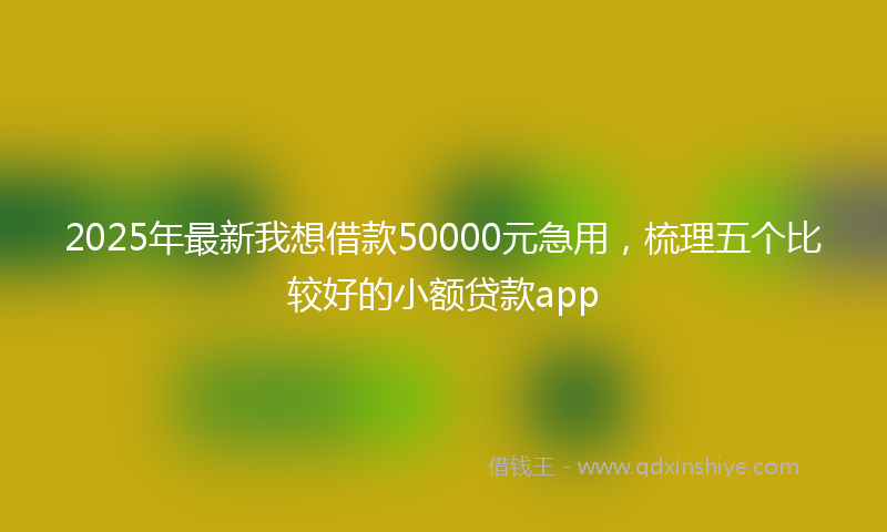 2025年最新我想借款50000元急用，梳理五个比较好的小额贷款app