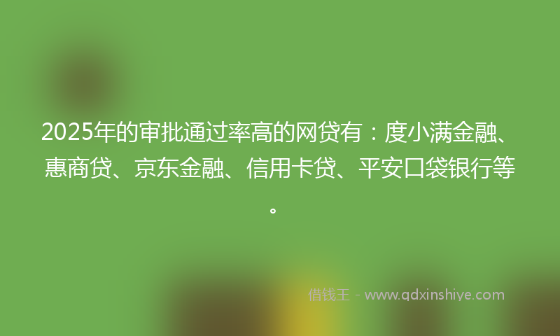 2025年的审批通过率高的网贷有：度小满金融、惠商贷、京东金融、信用卡贷、平安口袋银行等。