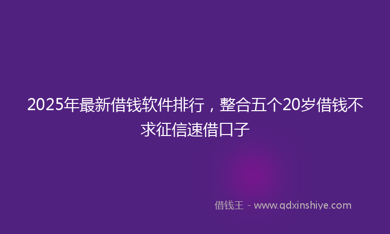 2025年最新借钱软件排行，整合五个20岁借钱不求征信速借口子