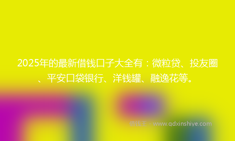 2025年的最新借钱口子大全有：微粒贷、投友圈、平安口袋银行、洋钱罐、融逸花等。