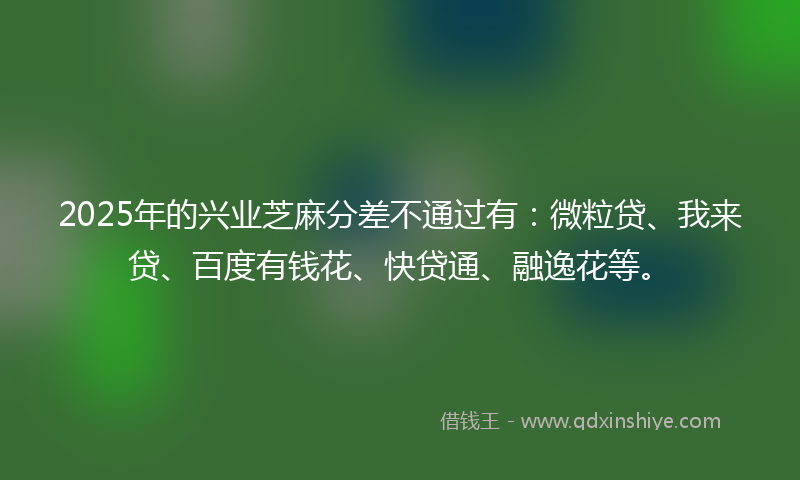 2025年的兴业芝麻分差不通过有：微粒贷、我来贷、百度有钱花、快贷通、融逸花等。