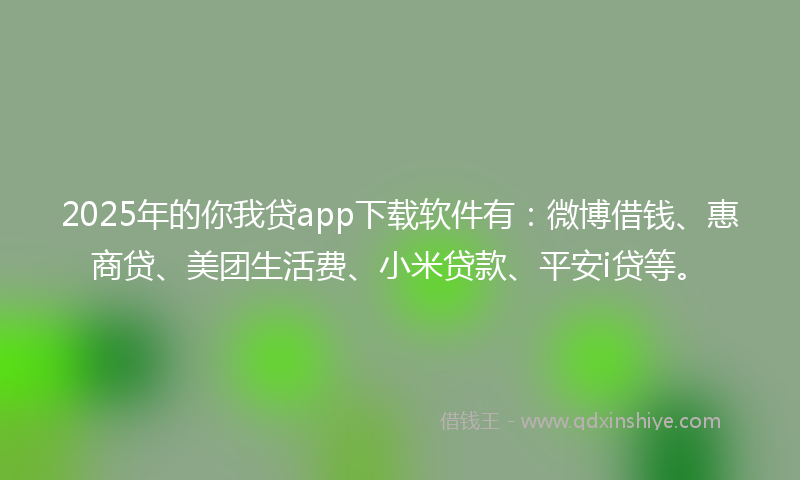 2025年的你我贷app下载软件有：微博借钱、惠商贷、美团生活费、小米贷款、平安i贷等。