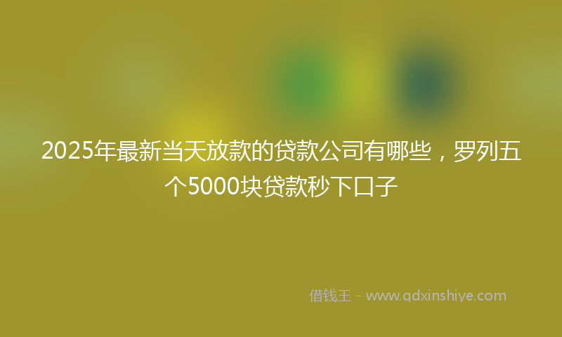 2025年最新当天放款的贷款公司有哪些，罗列五个5000块贷款秒下口子