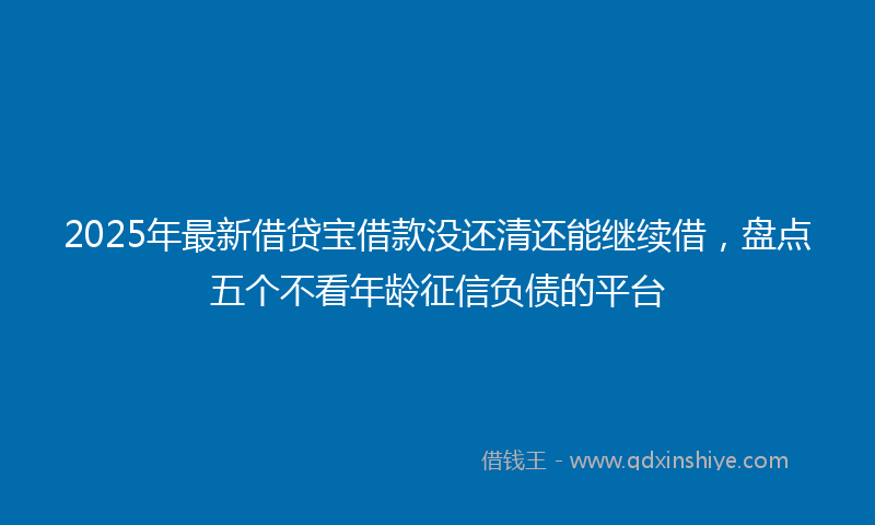 2025年最新借贷宝借款没还清还能继续借，盘点五个不看年龄征信负债的平台