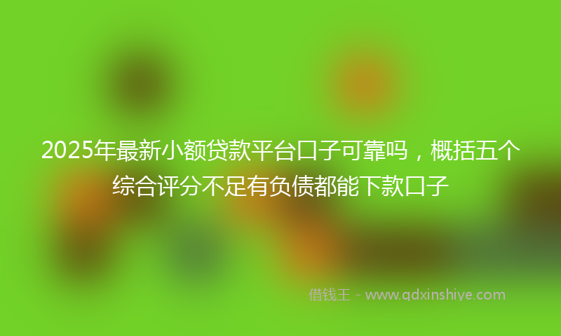 2025年最新小额贷款平台口子可靠吗，概括五个综合评分不足有负债都能下款口子