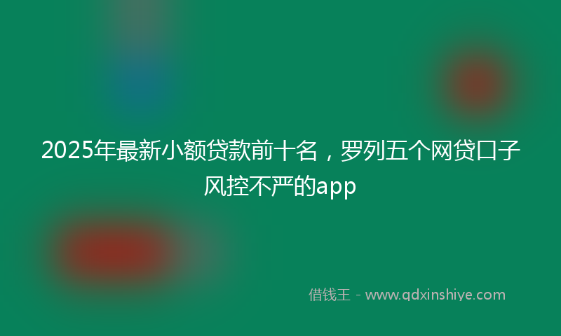 2025年最新小额贷款前十名，罗列五个网贷口子风控不严的app