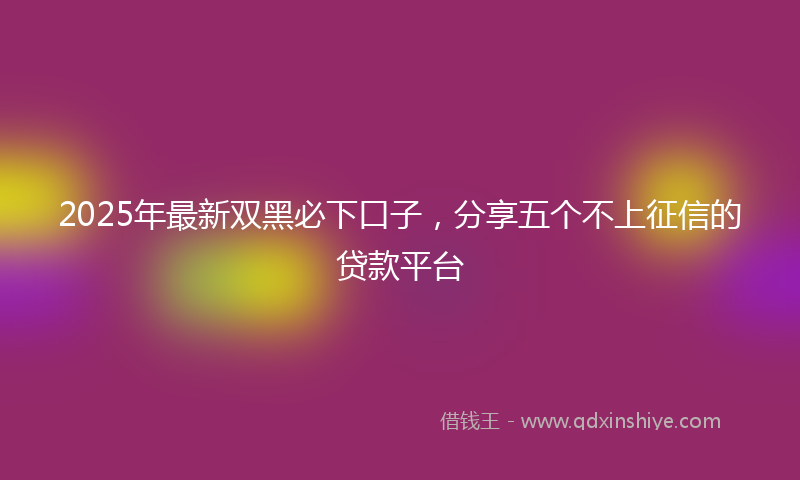 2025年最新双黑必下口子，分享五个不上征信的贷款平台