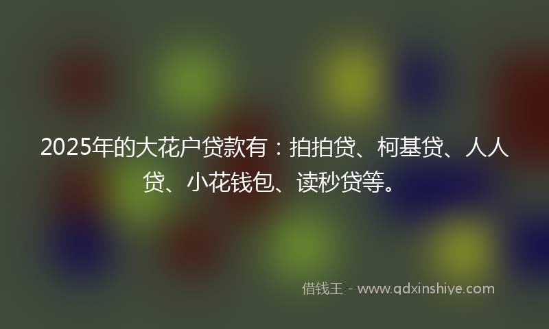 2025年的大花户贷款有：拍拍贷、柯基贷、人人贷、小花钱包、读秒贷等。