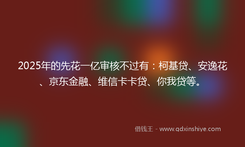 2025年的先花一亿审核不过有：柯基贷、安逸花、京东金融、维信卡卡贷、你我贷等。