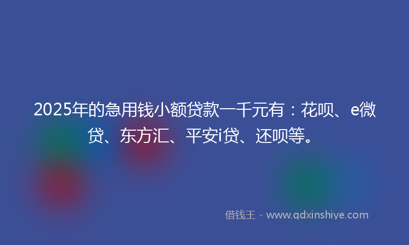 2025年的急用钱小额贷款一千元有：花呗、e微贷、东方汇、平安i贷、还呗等。