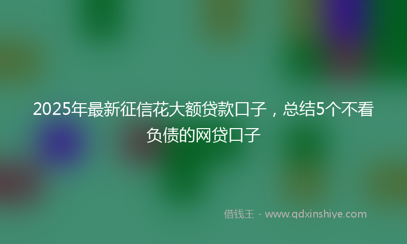 2025年最新征信花大额贷款口子，总结5个不看负债的网贷口子