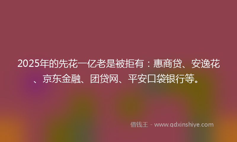 2025年的先花一亿老是被拒有：惠商贷、安逸花、京东金融、团贷网、平安口袋银行等。