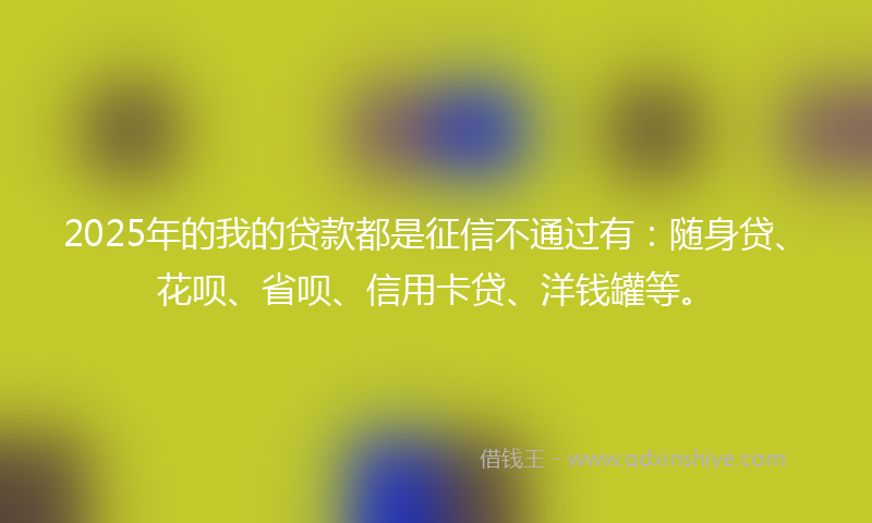 2025年的我的贷款都是征信不通过有：随身贷、花呗、省呗、信用卡贷、洋钱罐等。