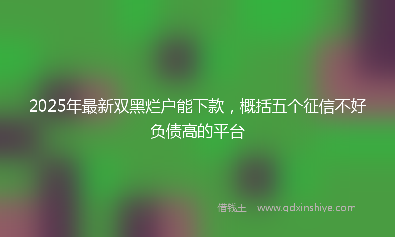 2025年最新双黑烂户能下款，概括五个征信不好负债高的平台