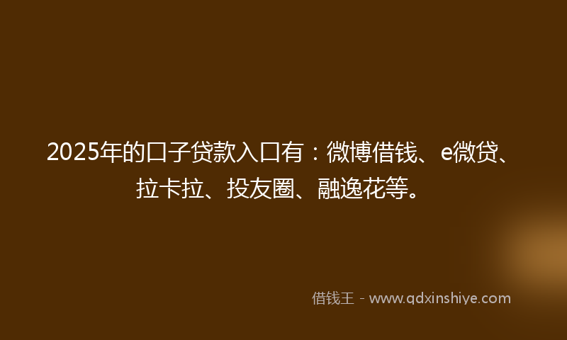 2025年的口子贷款入口有：微博借钱、e微贷、拉卡拉、投友圈、融逸花等。