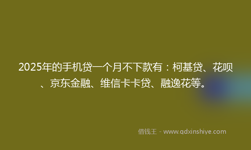 2025年的手机贷一个月不下款有：柯基贷、花呗、京东金融、维信卡卡贷、融逸花等。