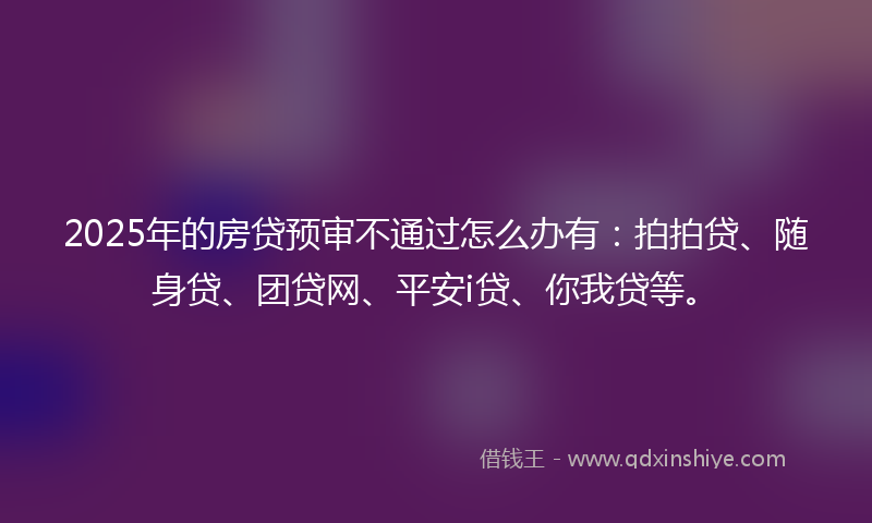 2025年的房贷预审不通过怎么办有：拍拍贷、随身贷、团贷网、平安i贷、你我贷等。