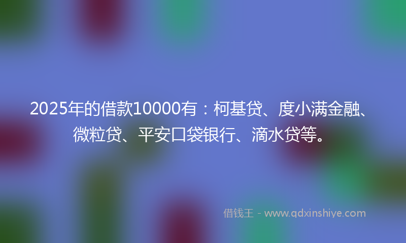 2025年的借款10000有：柯基贷、度小满金融、微粒贷、平安口袋银行、滴水贷等。