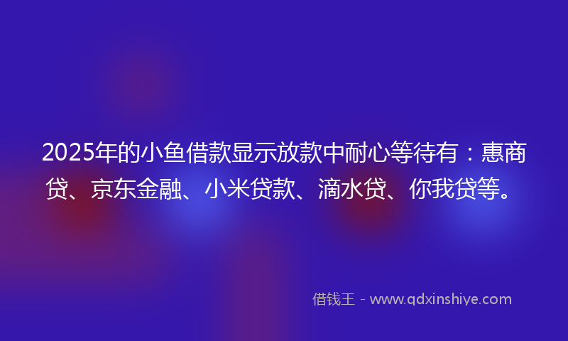 2025年的小鱼借款显示放款中耐心等待有：惠商贷、京东金融、小米贷款、滴水贷、你我贷等。