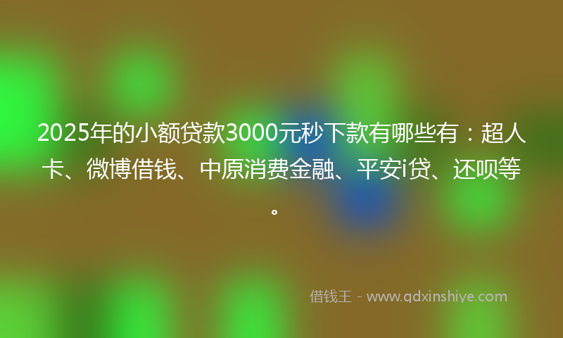 2025年的小额贷款3000元秒下款有哪些有：超人卡、微博借钱、中原消费金融、平安i贷、还呗等。