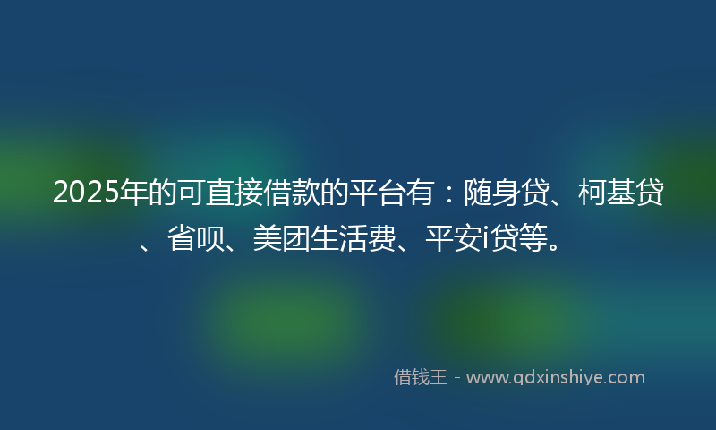 2025年的可直接借款的平台有：随身贷、柯基贷、省呗、美团生活费、平安i贷等。