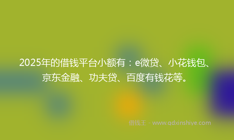 2025年的借钱平台小额有：e微贷、小花钱包、京东金融、功夫贷、百度有钱花等。