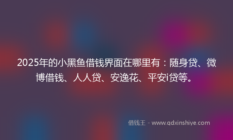 2025年的小黑鱼借钱界面在哪里有：随身贷、微博借钱、人人贷、安逸花、平安i贷等。