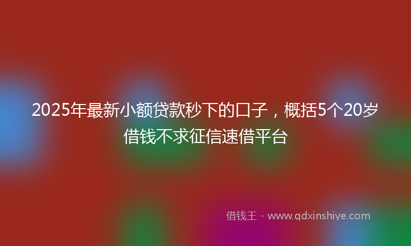 2025年最新小额贷款秒下的口子，概括5个20岁借钱不求征信速借平台