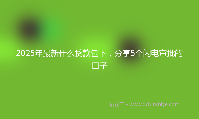 2025年最新什么贷款包下，分享5个闪电审批的口子