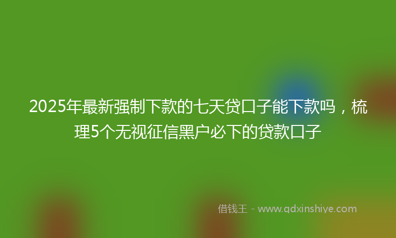 2025年最新强制下款的七天贷口子能下款吗，梳理5个无视征信黑户必下的贷款口子