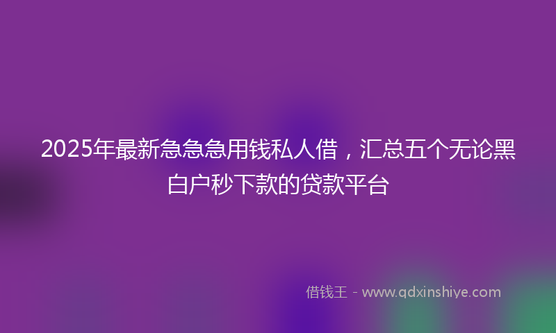 2025年最新急急急用钱私人借，汇总五个无论黑白户秒下款的贷款平台
