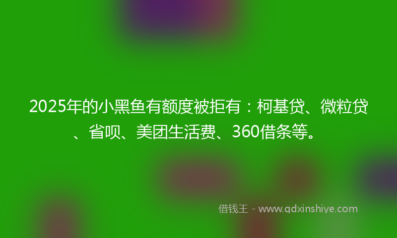 2025年的小黑鱼有额度被拒有：柯基贷、微粒贷、省呗、美团生活费、360借条等。