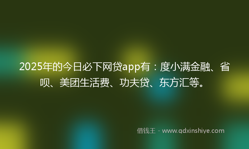 2025年的今日必下网贷app有：度小满金融、省呗、美团生活费、功夫贷、东方汇等。