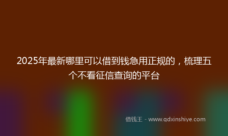 2025年最新哪里可以借到钱急用正规的，梳理五个不看征信查询的平台