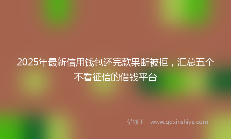 2025年最新信用钱包还完款果断被拒，汇总五个不看征信的借钱平台
