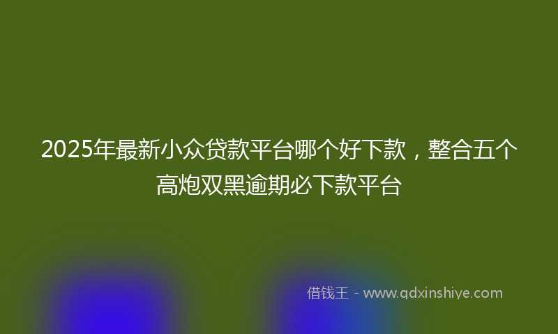 2025年最新小众贷款平台哪个好下款，整合五个高炮双黑逾期必下款平台