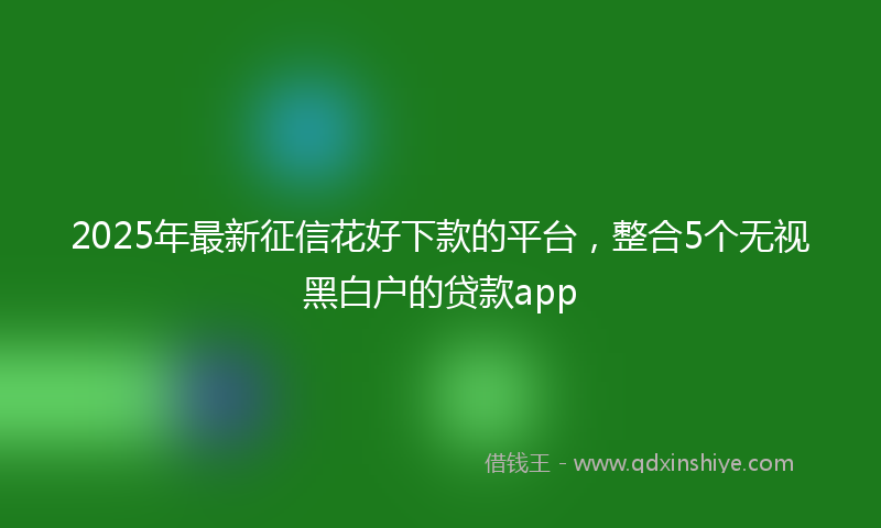 2025年最新征信花好下款的平台，整合5个无视黑白户的贷款app