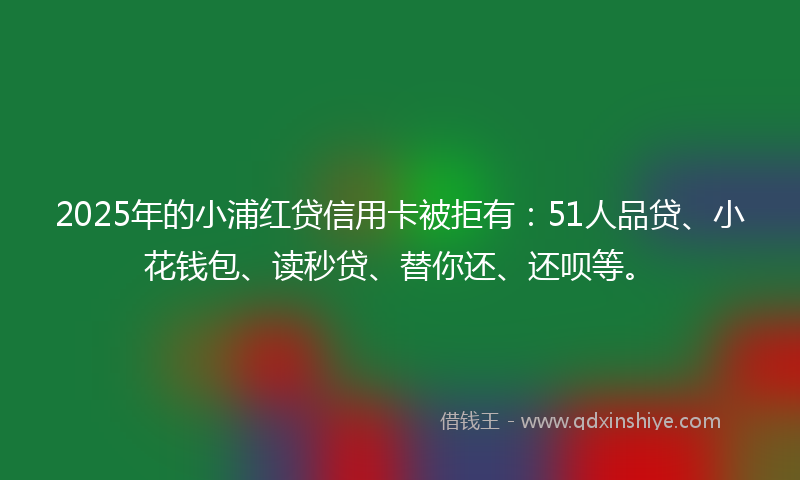 2025年的小浦红贷信用卡被拒有：51人品贷、小花钱包、读秒贷、替你还、还呗等。