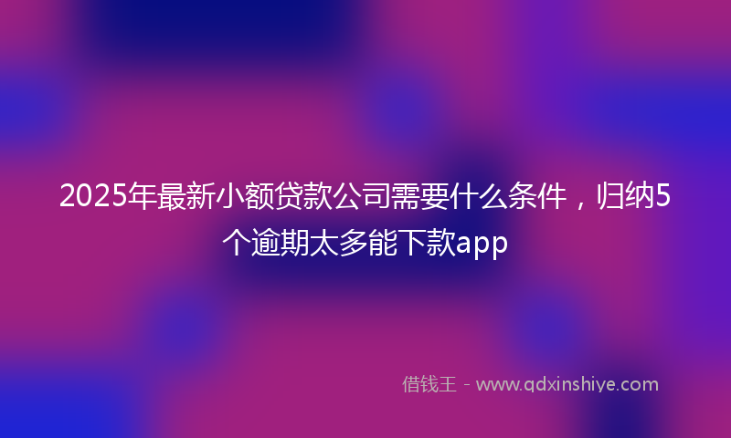 2025年最新小额贷款公司需要什么条件，归纳5个逾期太多能下款app