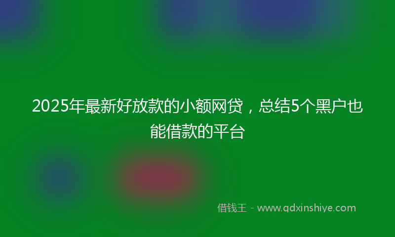 2025年最新好放款的小额网贷，总结5个黑户也能借款的平台