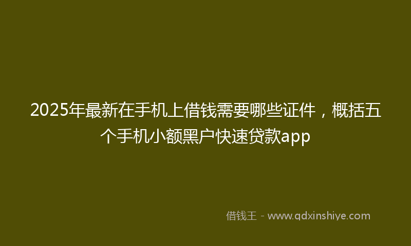 2025年最新在手机上借钱需要哪些证件，概括五个手机小额黑户快速贷款app