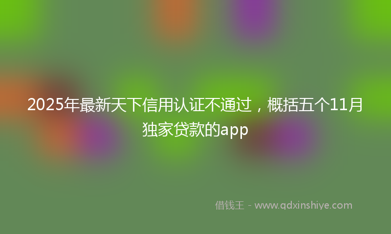 2025年最新天下信用认证不通过，概括五个11月独家贷款的app